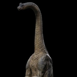 Brachiosaurus Icons