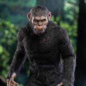 Caesar Version A (Ape Leader)