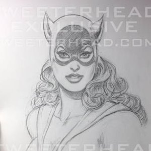 Catwoman (Tweeterhead)