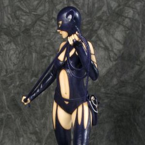 Catwoman (Luis Royo) (SDCC 2014)