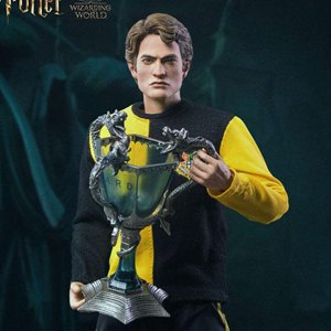 Cedric Diggory Triwizard Tournament