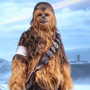 Chewbacca