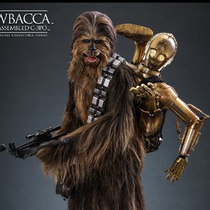 Chewbacca With Disassembled C-3PO (Empire Strikes Back)