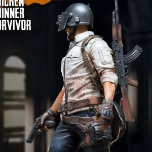 Chicken Dinner Survivor