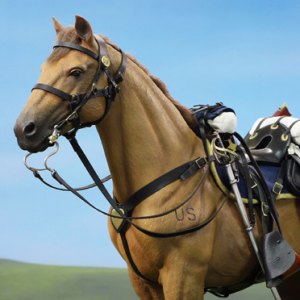 Civil War Brown War Horse Standing