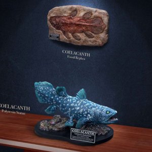 Coelacanth Wonders Of Wild Series Deluxe