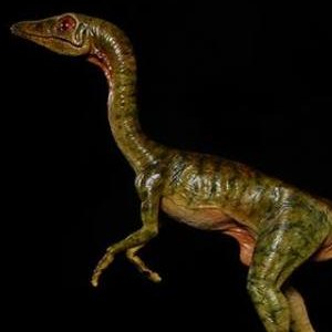 Compsognathus