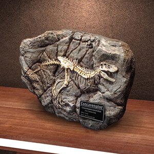 Prehistoric Creatures: Concavenator Fossil Wonders Of Wild Series ...