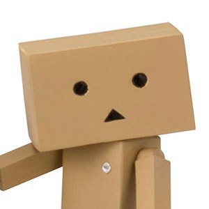 Danboard WaiWai