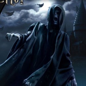 Dementor And Voldemort 2-PACK