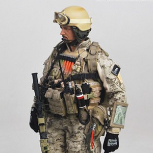 DEVGRU Gold Team (studio)