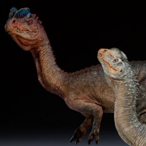 Dilophosaurus (Sideshow) (studio)