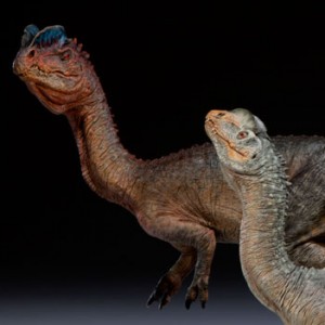 Dilophosaurus (studio)