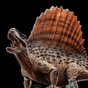 Dimetrodon