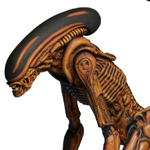 Dog Alien