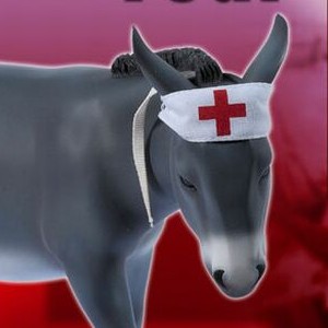 Donkey Foal Medic (studio)