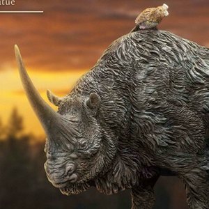 Elasmotherium Rhino Black Wonders Of Wild Series