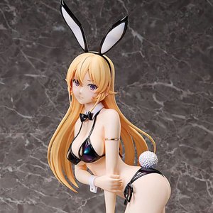 Erina Nakiri Bikini Bunny