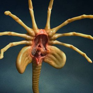 Facehugger