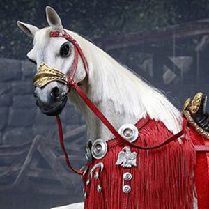 Gaius Julius Caesar Warhorse