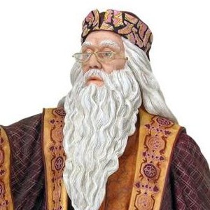 Albus Dumbledore (SDCC 2009) (studio)
