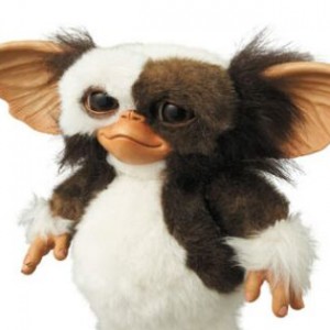 Gizmo (studio)