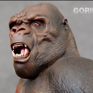 Gorilla