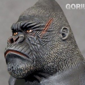 Gorilla Silverback