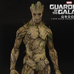 Groot