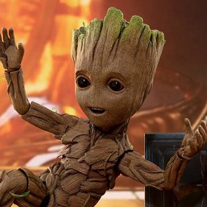 Groot Slim