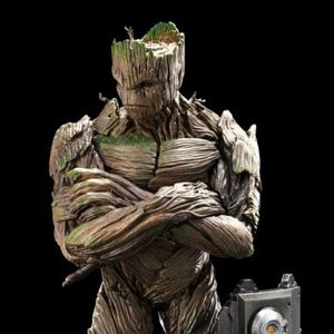 Groot