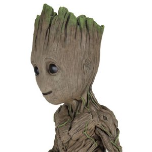 Groot