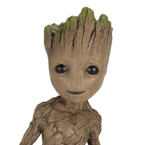 Groot