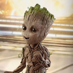 Groot