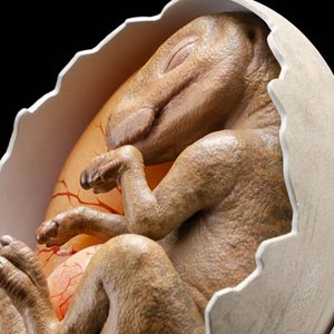 Hadrosaur Egg Hatching Elite Creature Line