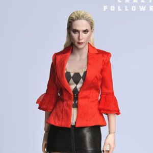 Harley Quinn (Crazy Followers)
