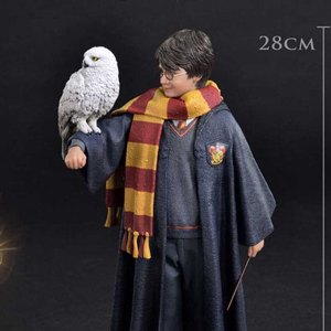 Harry Potter With Hedwig