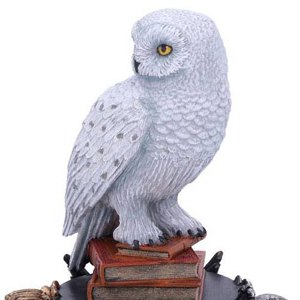 Hedwig