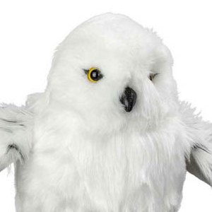 Hedwig Wings Open Plush