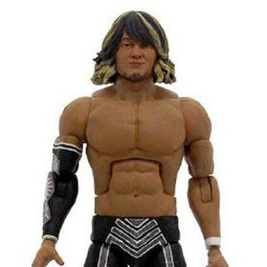 Hiroshi Tanahashi Ultimates