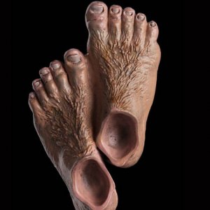 Hobbit Feet Magnet
