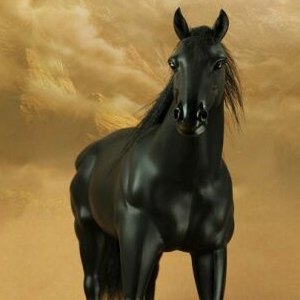 Horse Black
