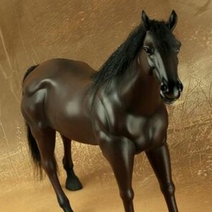 Horse Brown