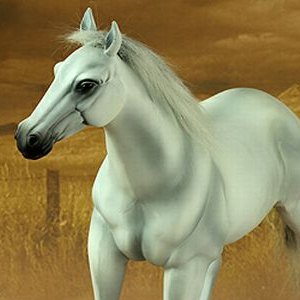 Horse White