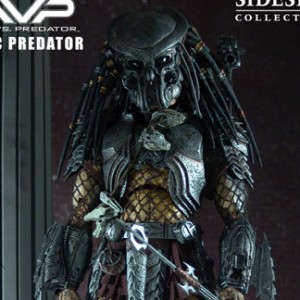 Celtic Predator (studio)