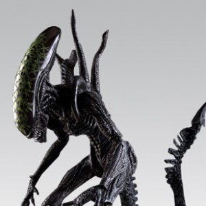Grid Alien (Asia) (studio)