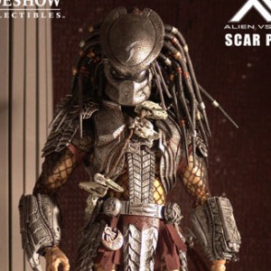 Scar Predator (studio)