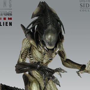 Predalien (studio)