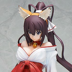 Houki Shinonono Kitsune Miko