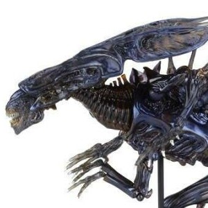 Alien Queen (Revoltech) (studio)